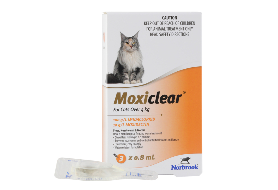 Moxiclear for Cats Over 4kg