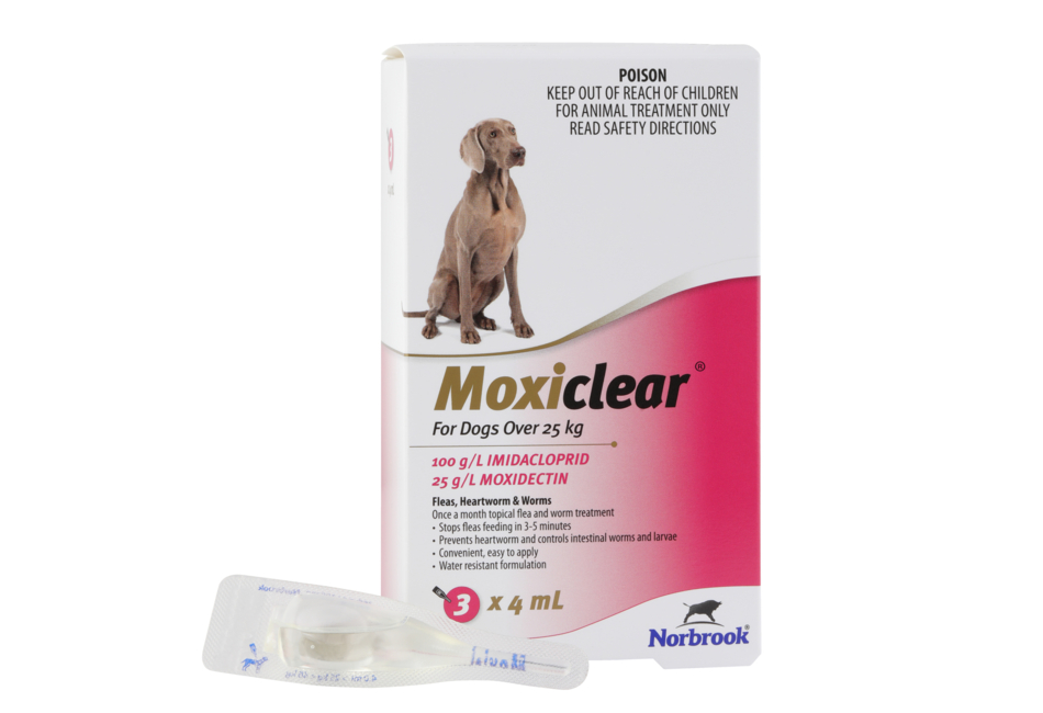Moxiclear for Dogs