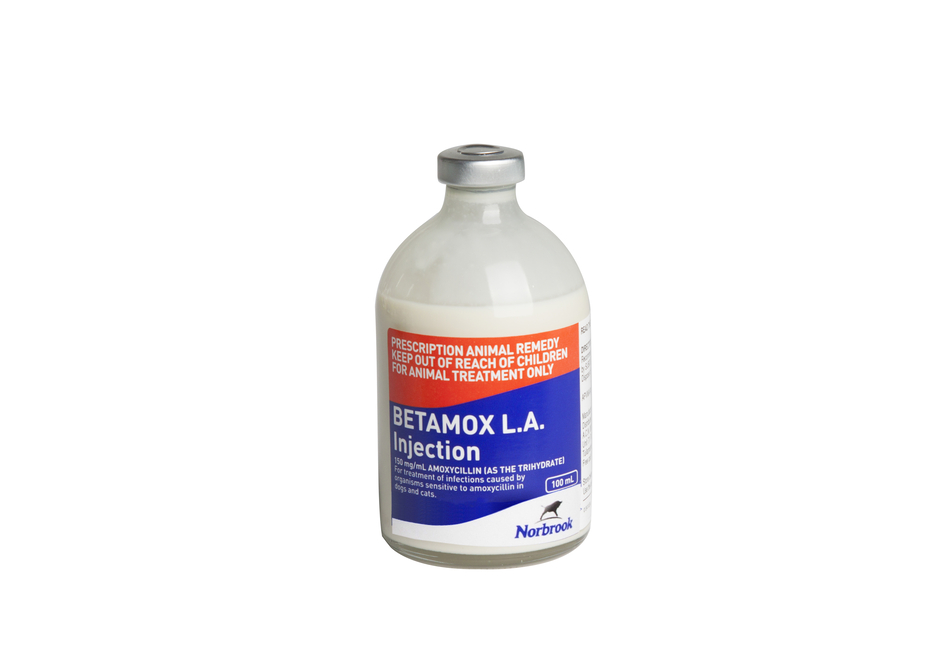 Betamox Long Lasting Injection