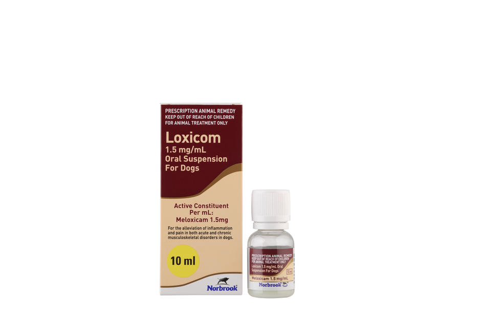 Loxicom 1.5mg/mL Oral Suspension for Dogs
