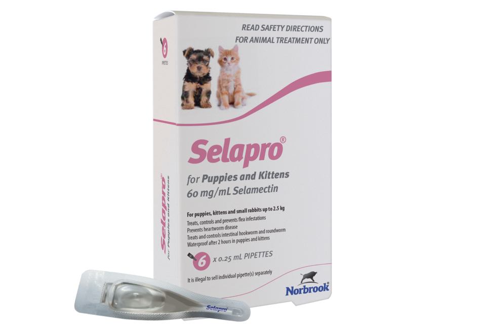 Selapro for Puppies and Kittens