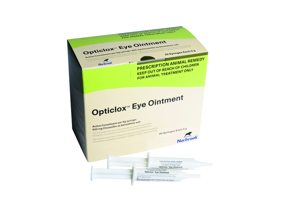 Opticlox Ointment