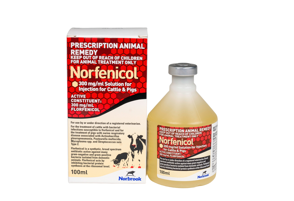 Norfenicol 300mg/mL Solution for Injection for Cattle and Pigs