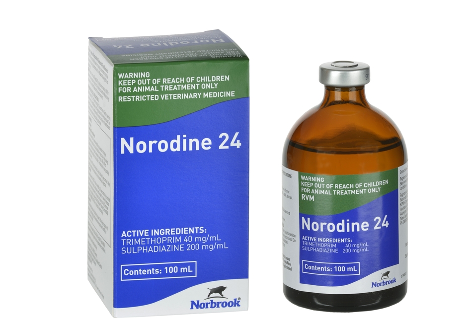 Norodine 24 Injection
