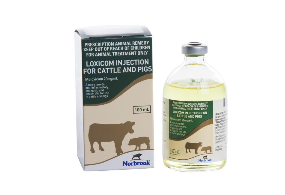 Loxicom 20mg/ml Injection for Cattle and Pigs