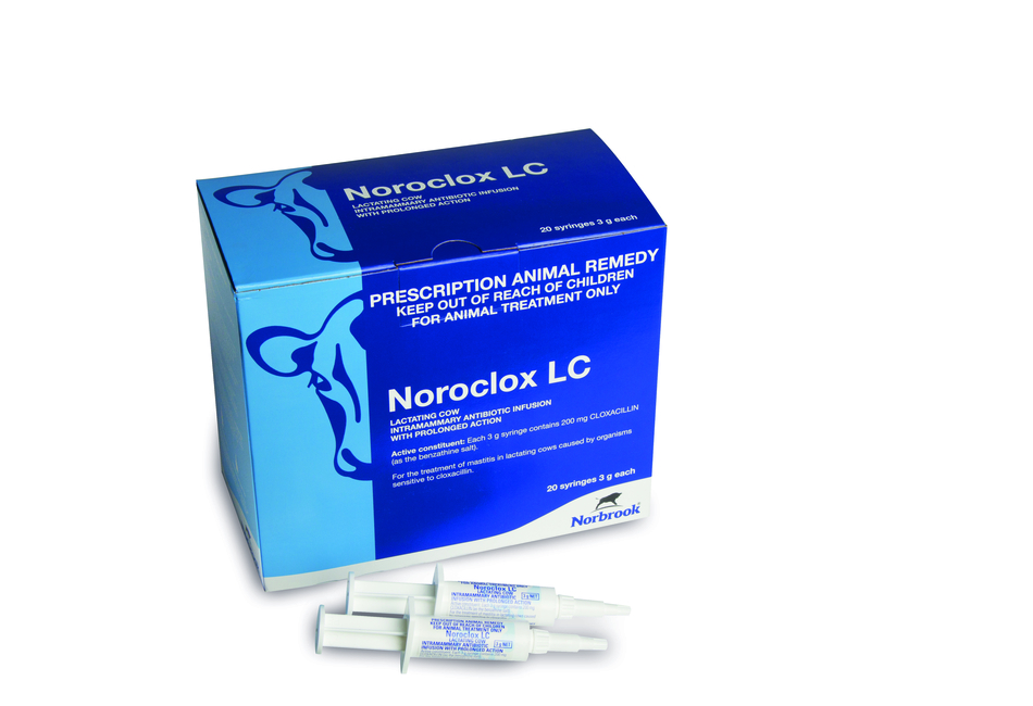 Noroclox LC Lactating Cow Intramammary Antibiotic Infusion