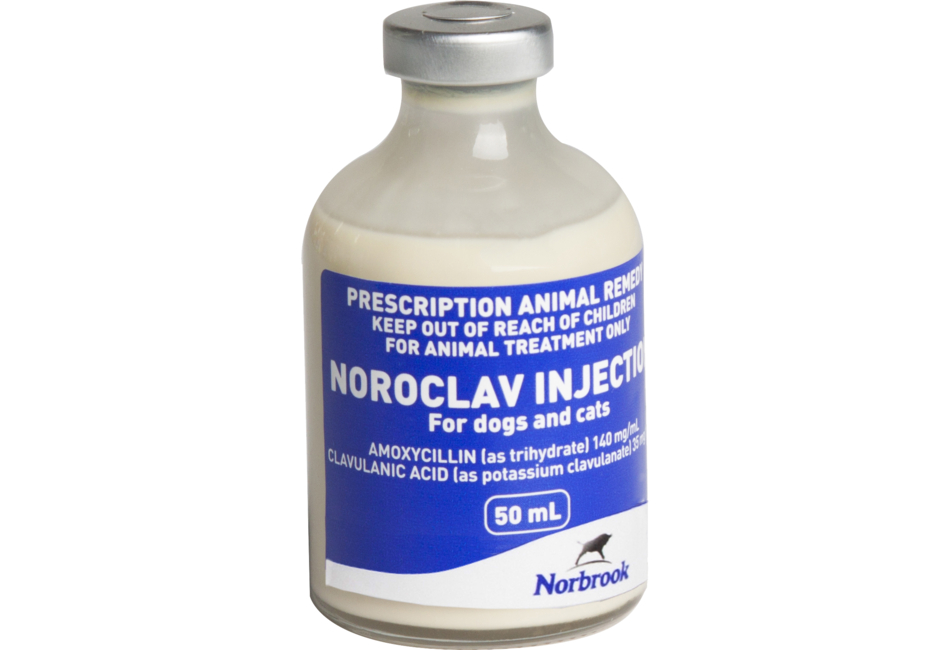 Noroclav Injection for Dogs and Cats