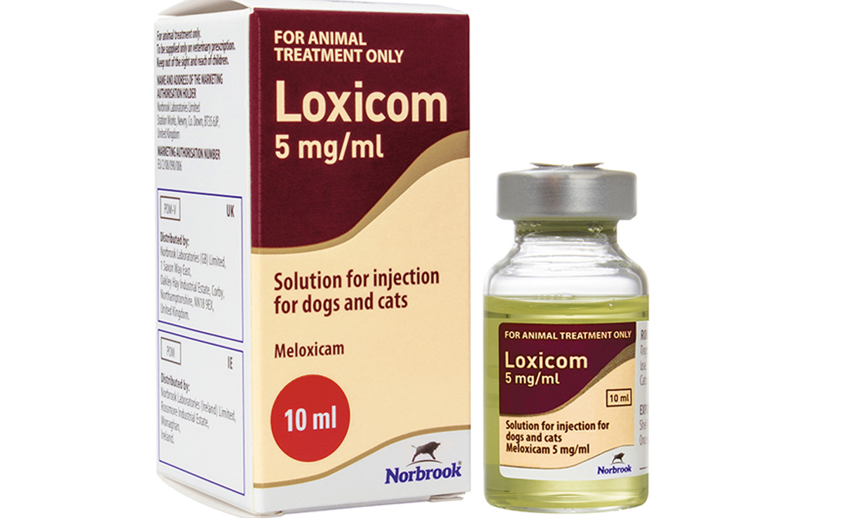 Loxicom Injection For Dogs And Cats