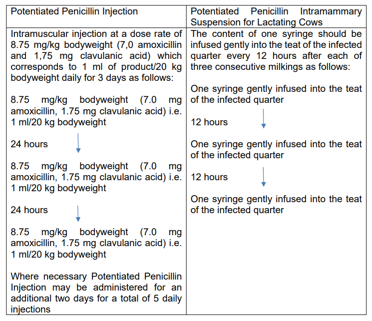 Combiclav Lacting Cow - Combined Therapy regime