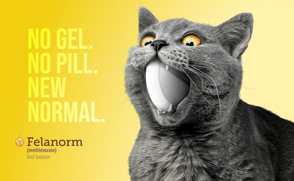 Felanorm® (methimazole) Oral Solution