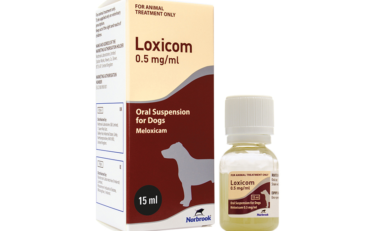 Loxicom 0.5mg/ml Oral Suspension Dogs