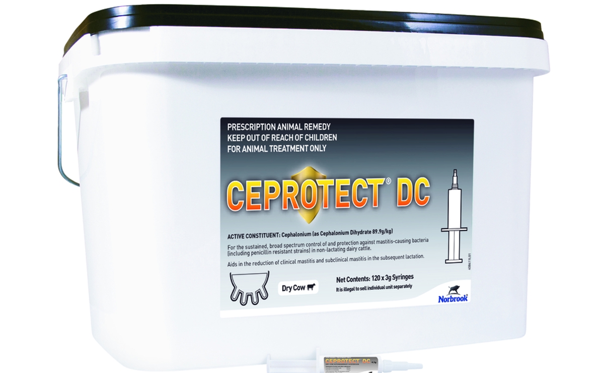 Ceprotect DC