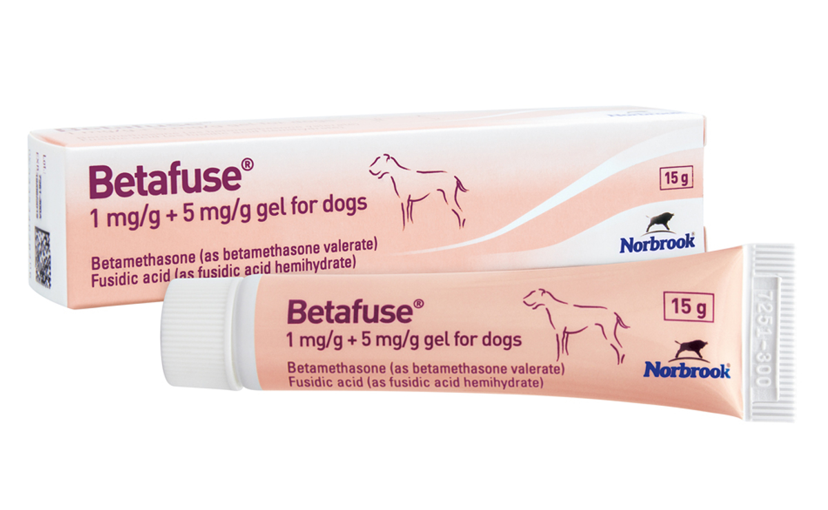 Betafuse for dogs