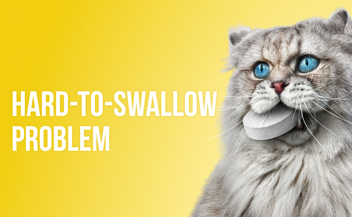 Felanorm® (methimazole) Oral Solution