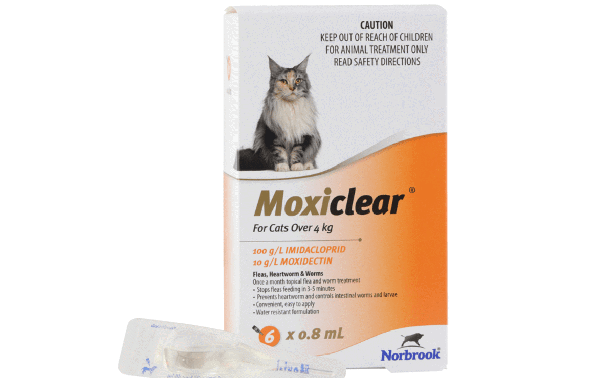 Moxiclear for Cats Over 4kg