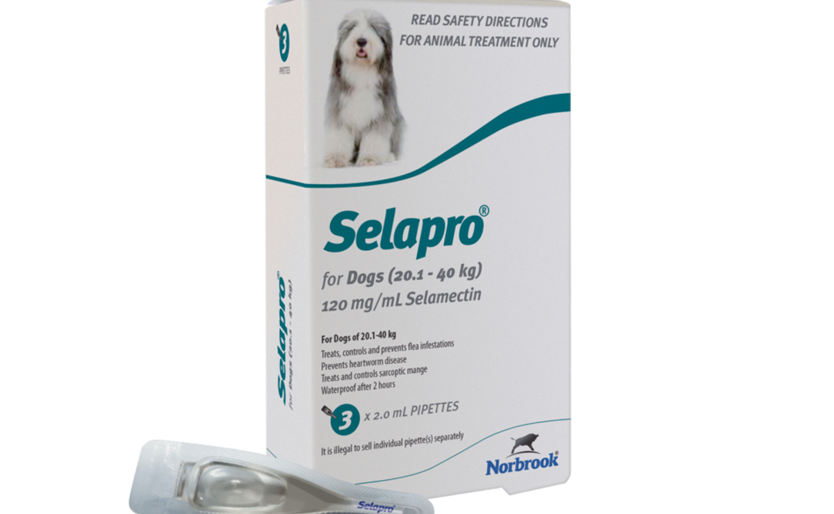 Selapro for Dogs