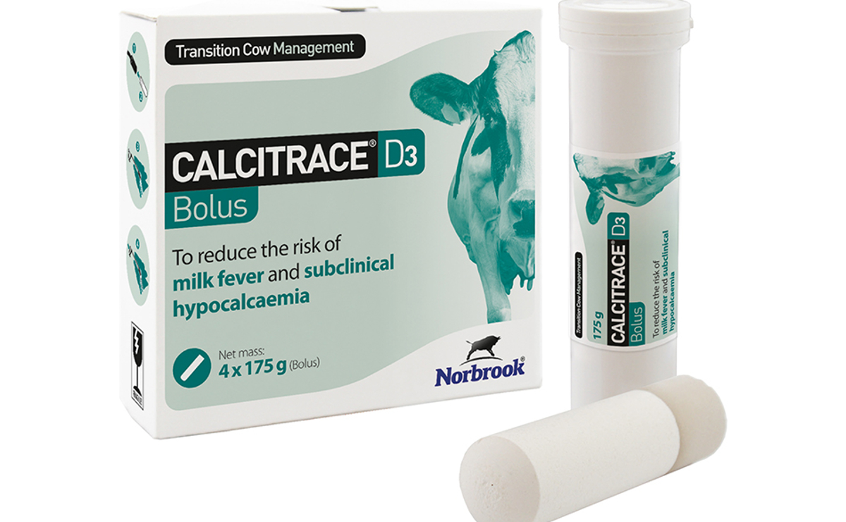 Calcitrace D3