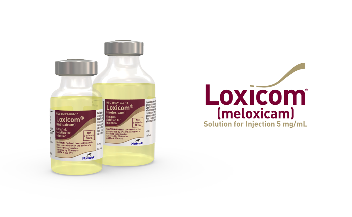 Loxicom® (meloxicam) 5 mg/mL Solution for Injection