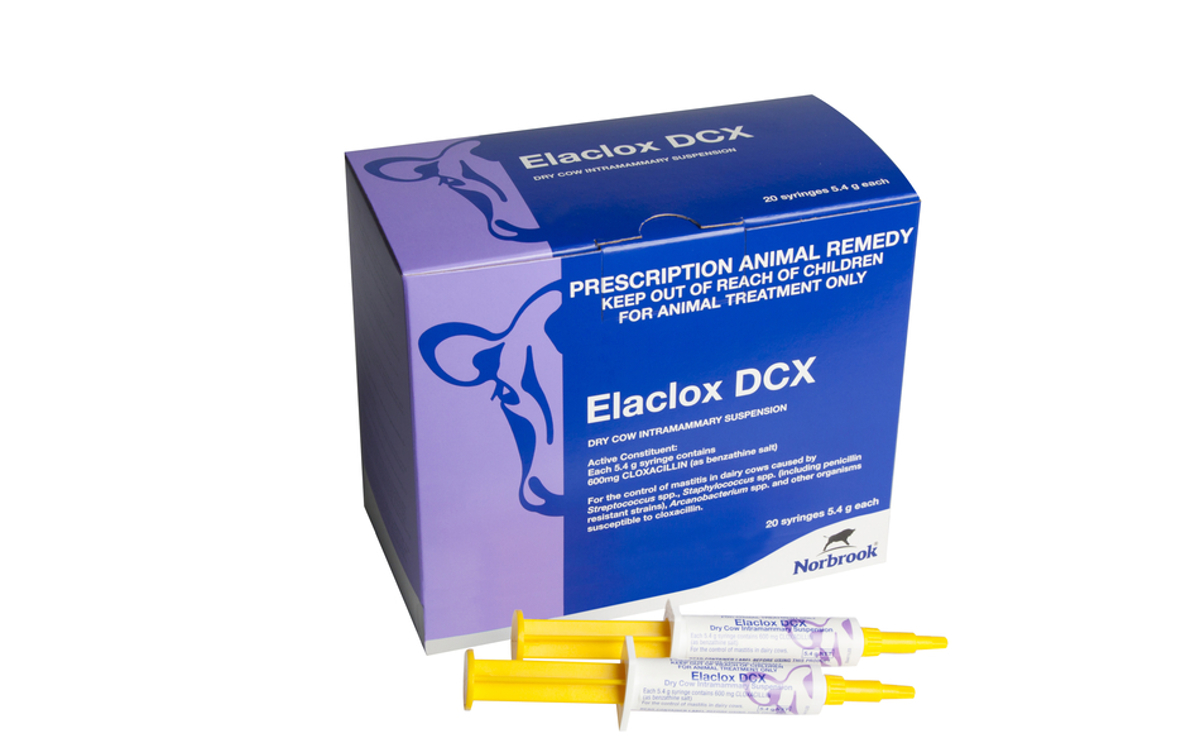 Elaclox DCX Dry Cow Intramammary Suspension