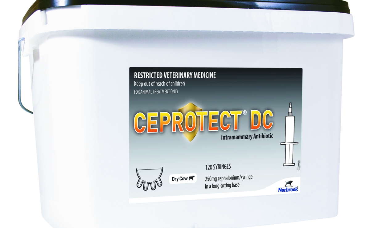 Ceprotect Dry Cow