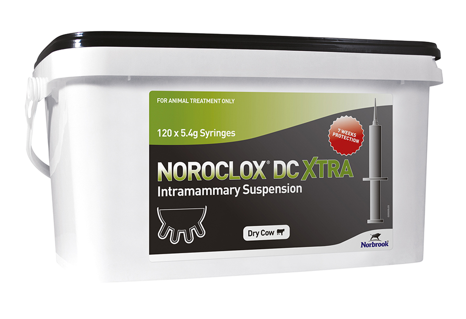 Noroclox DC Xtra Intramammary Suspension