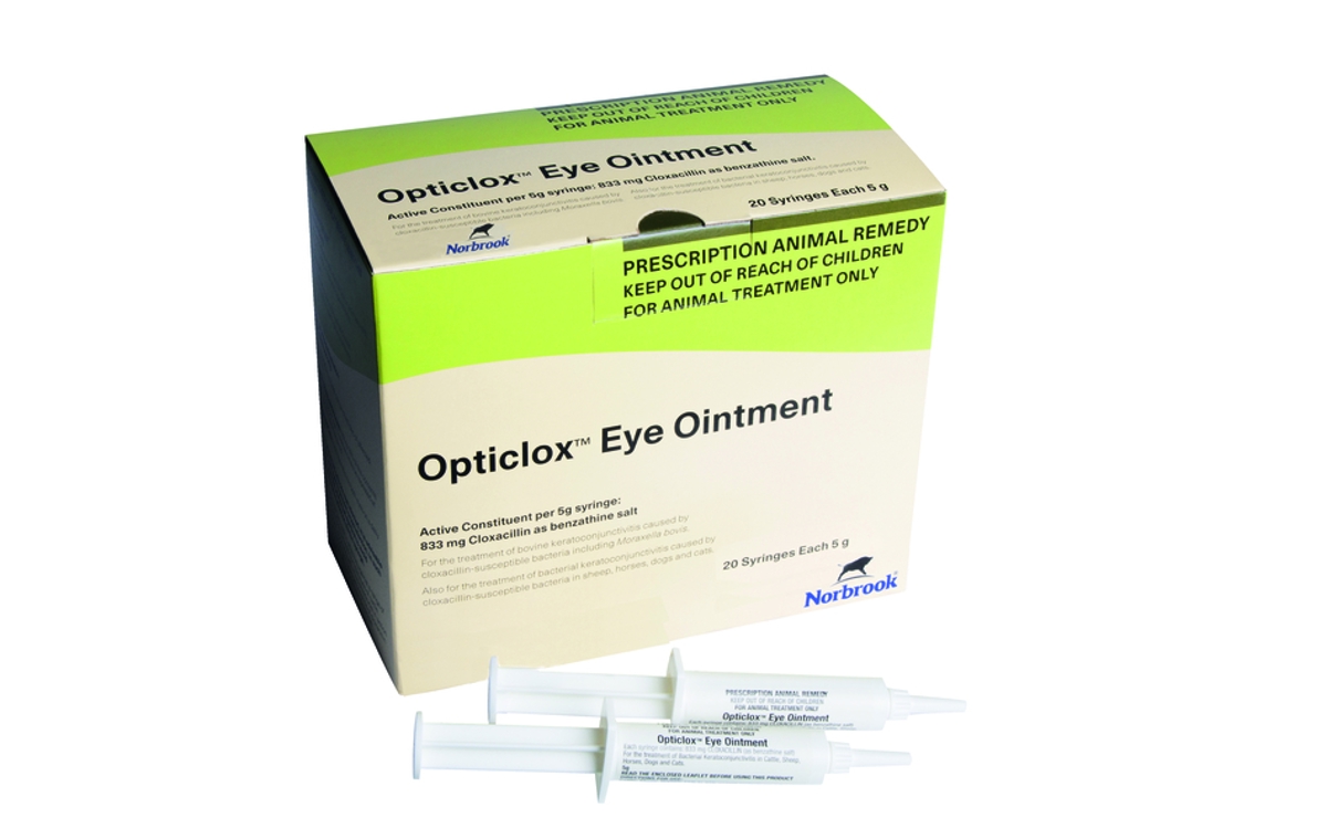 Opticlox Ointment