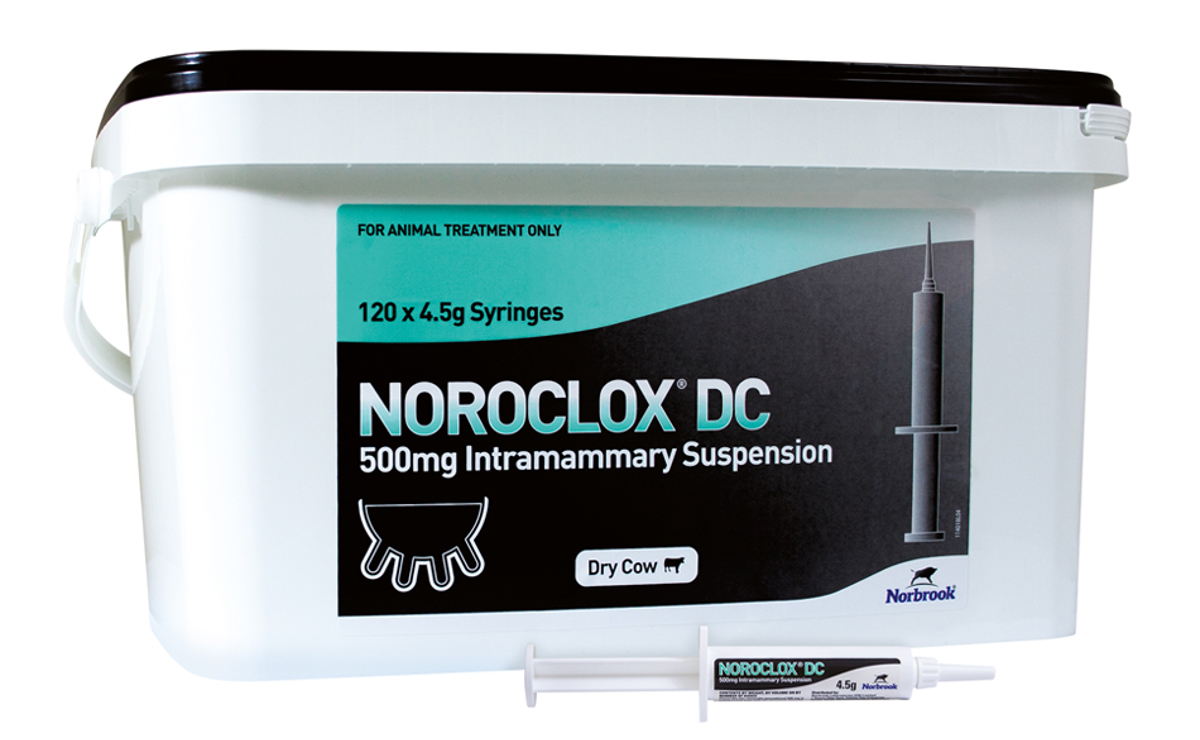 Noroclox DC Intramammary Suspension