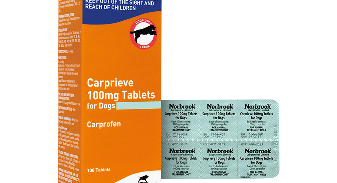 Carprieve 100Mg Tablets X 100 Blister Pack (Carton And Foil)