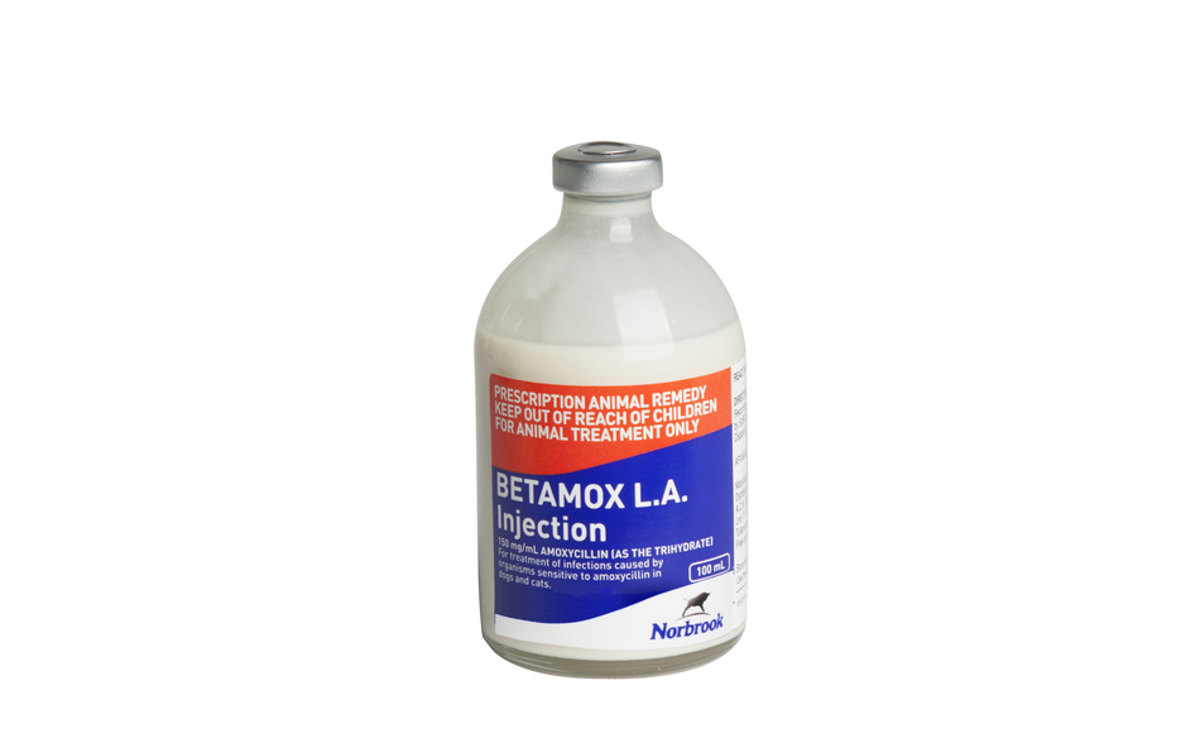 Betamox Long Lasting Injection