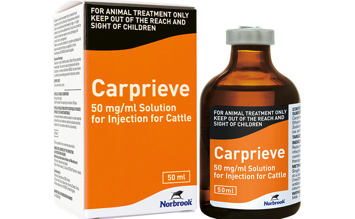 Carprieve Injection for Cattle