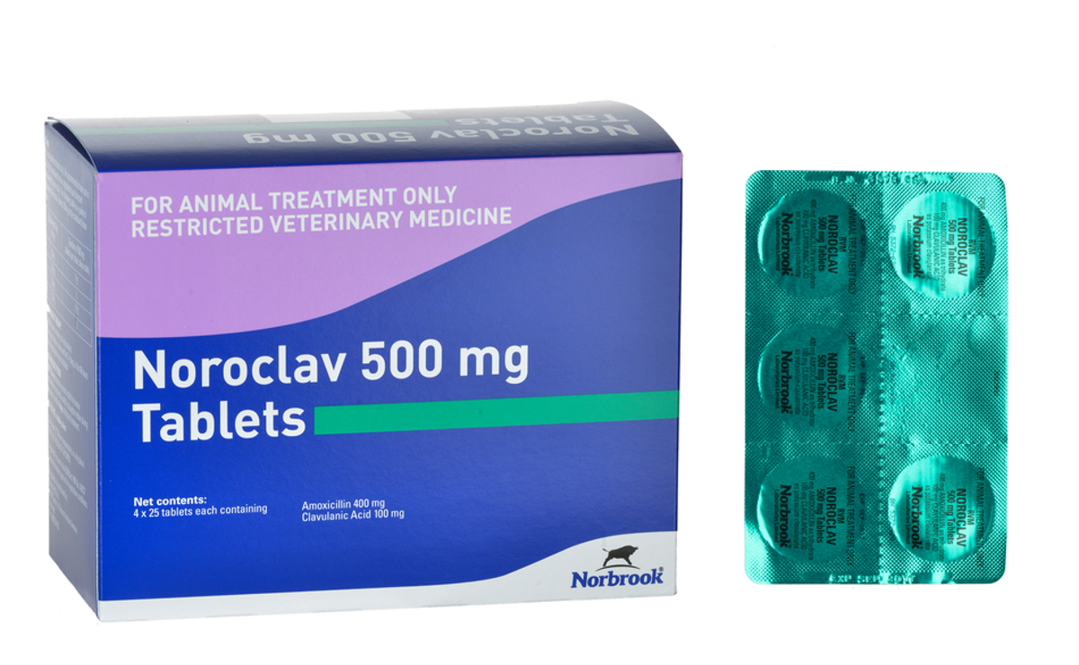 Noroclav Tablets 500mg