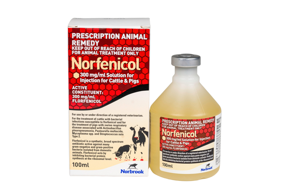 Norfenicol 300mg/mL Solution for Injection for Cattle and Pigs