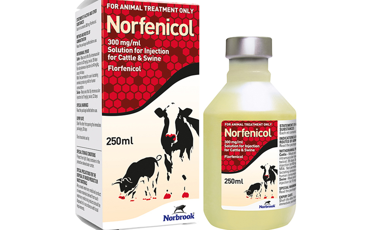 Norfenicol Injection