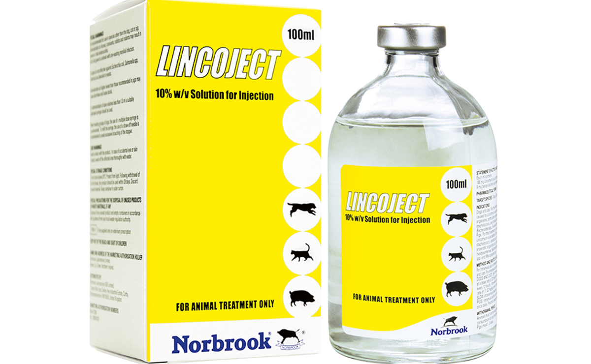 Lincoject Injection