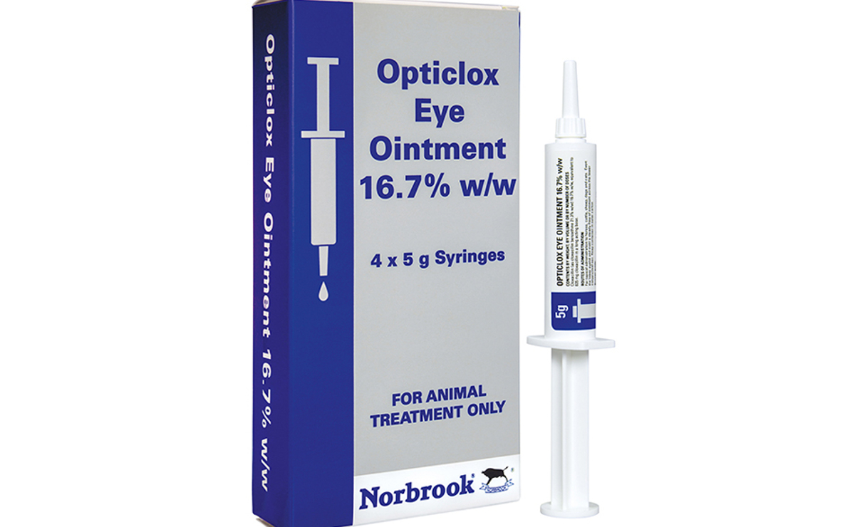 Opticlox Eye Ointment