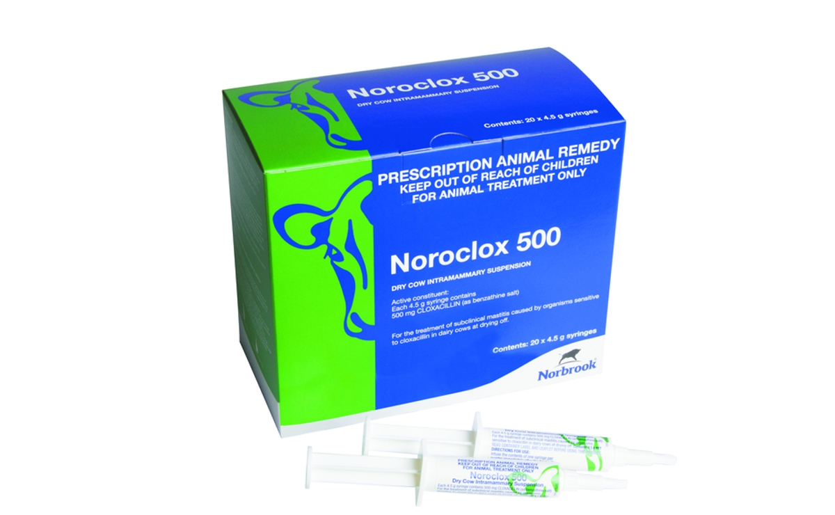 Noroclox 500 Dry Cow Intramammary Suspension