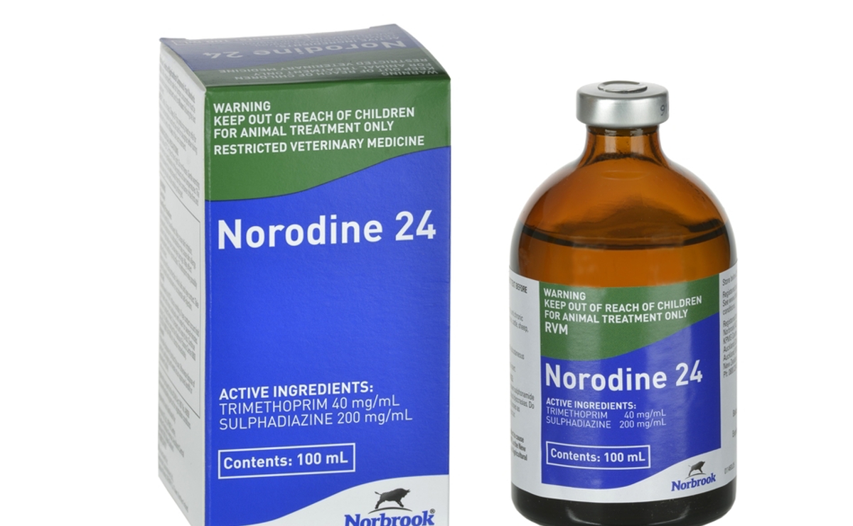 Norodine 24 Injection