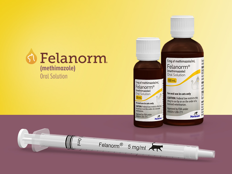 Felanorm (methimazole) Oral solution bottles with syringe