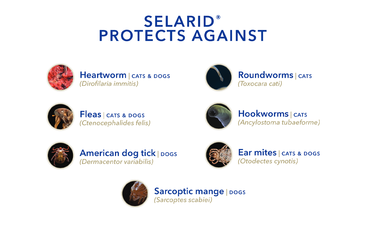 Selarid® (selamectin) Topical Parasiticide for Dogs and Cats