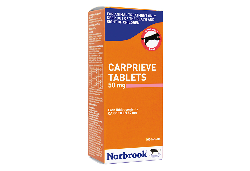 Fashion carprieve tablets