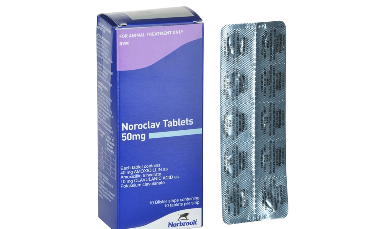 Noroclav Tablets 50mg and 250mg