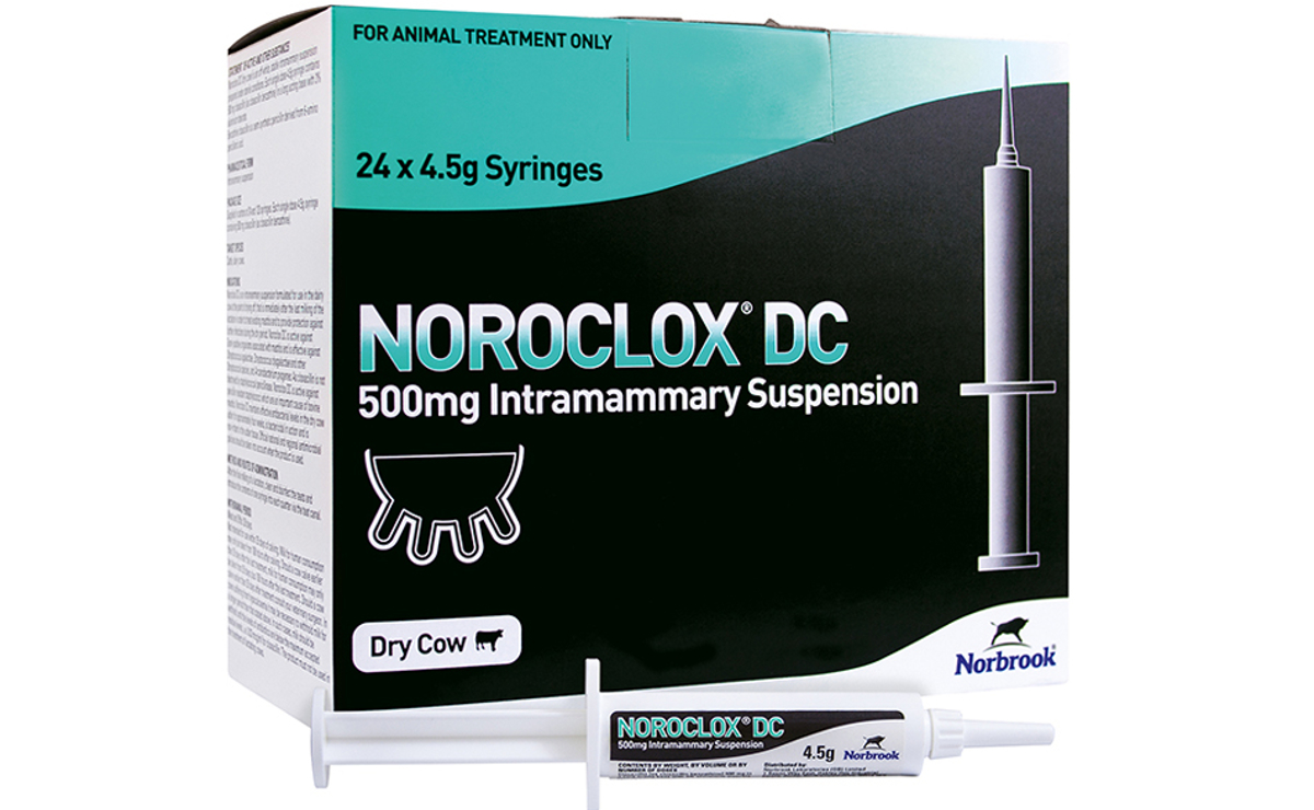 Noroclox DC Intramammary Suspension