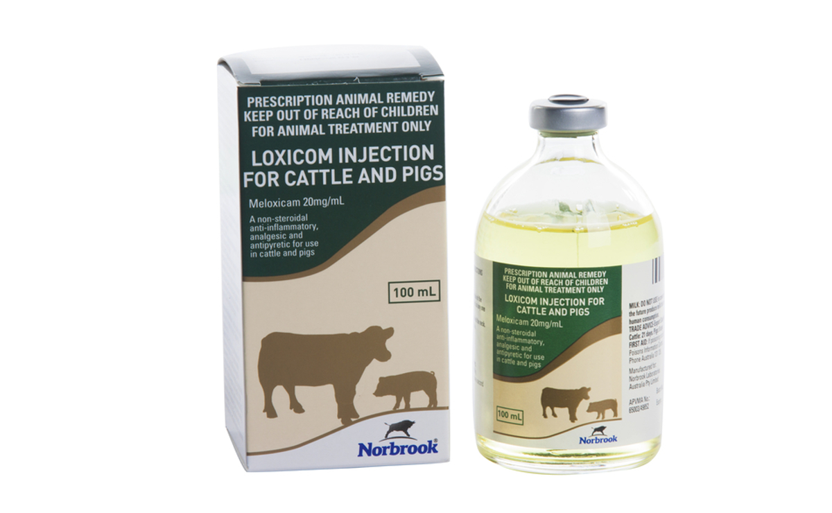Loxicom 20mg/ml Injection for Cattle and Pigs