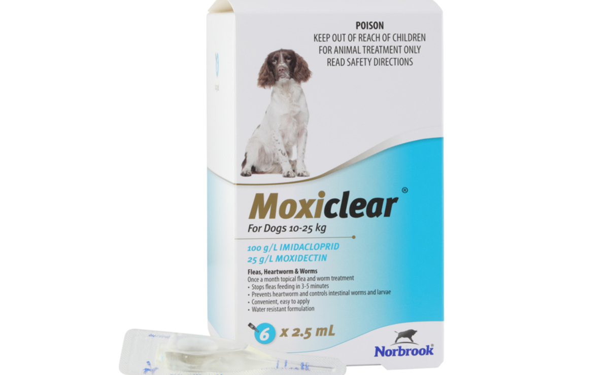 Moxiclear for Dogs