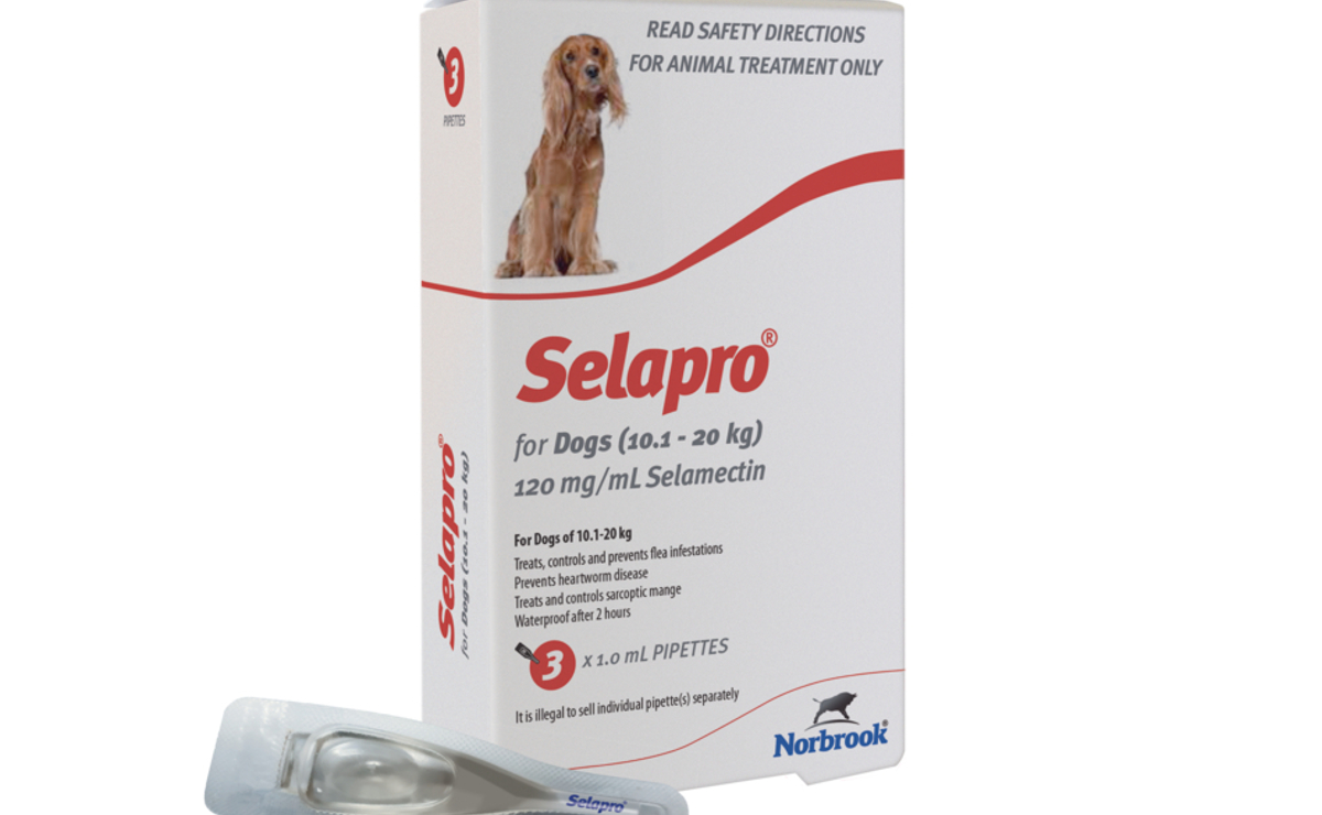 Selapro for Dogs