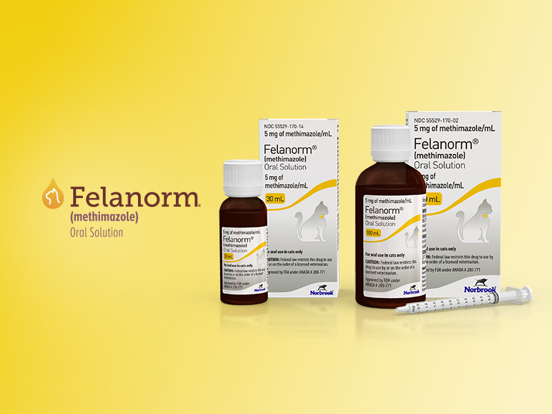 Felanorm (methimazole) Oral solution bottles and syringes