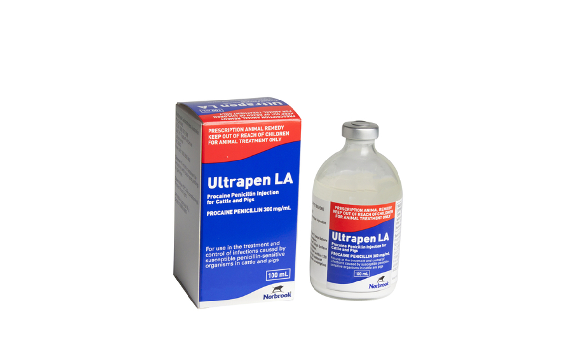 Ultrapen LA Procaine Penicillin Injection for Cattle and Pigs