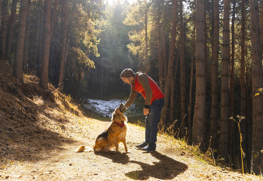 Picture of man patting his dog in a forest clearing