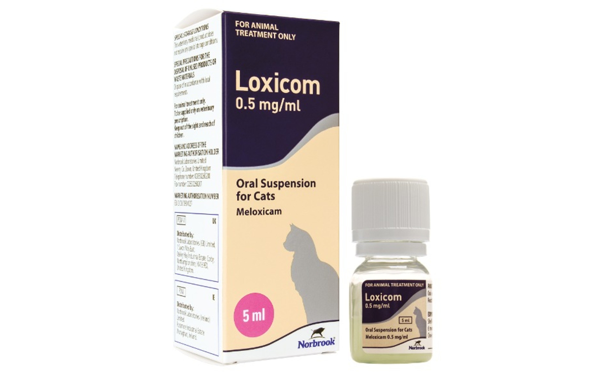 Loxicom Oral Suspension Cats