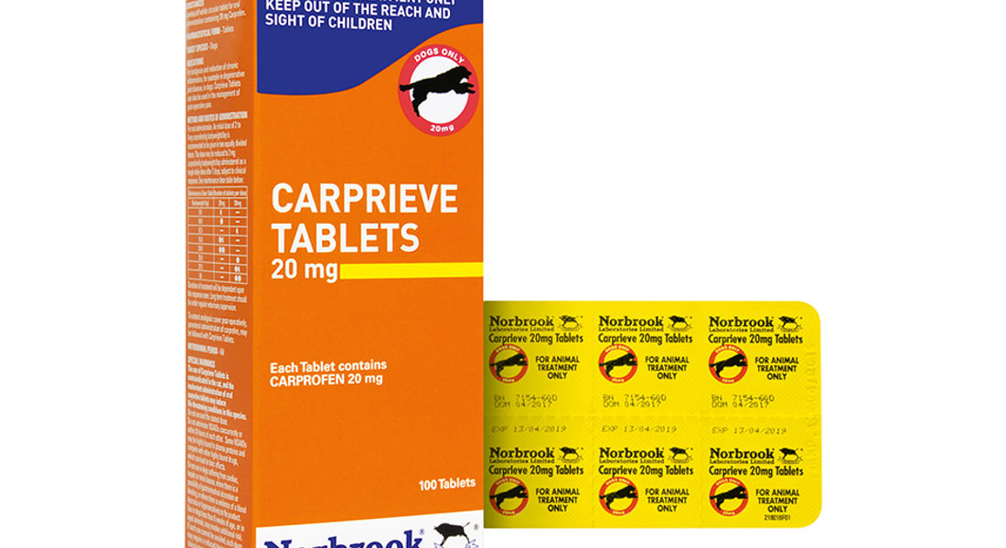 Carprieve 20Mg Tablets X 100 Blister Pack (Carton And Foil)